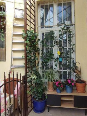 Miodowa Kazimierz Apartment Krakow Exterior photo
