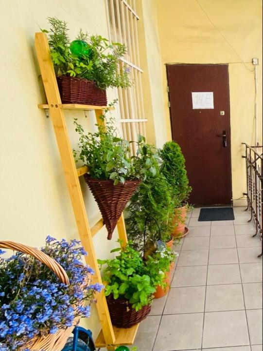 Miodowa Kazimierz Apartment Krakow Exterior photo